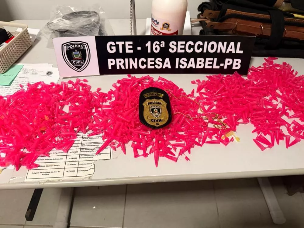 Foto: Divulgação/Polícia Civil