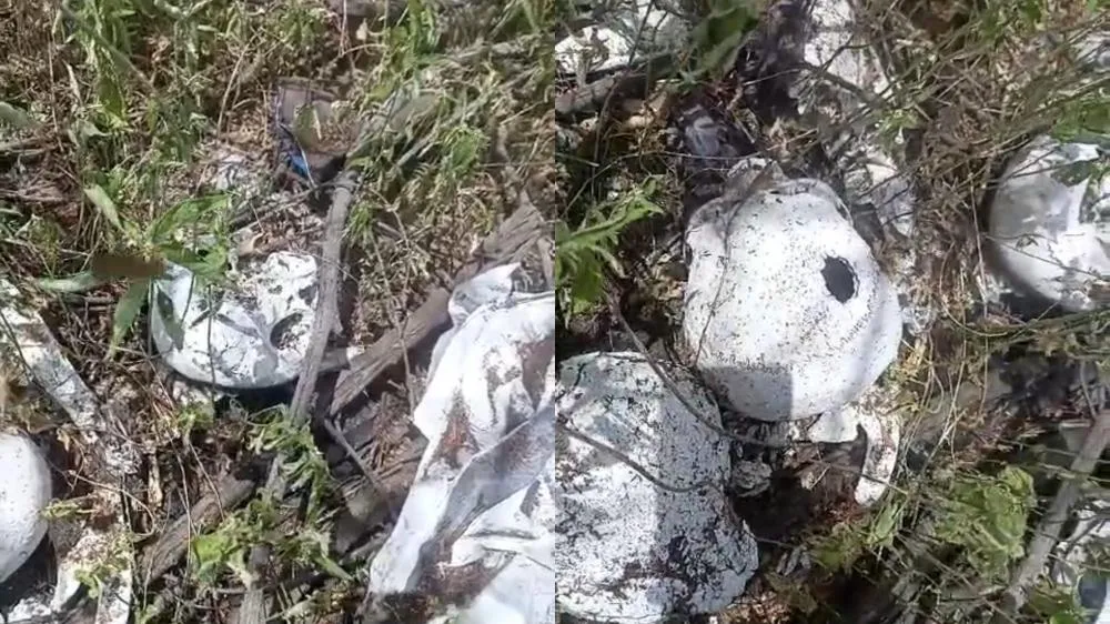 Ossos humanos são encontrados na Zona Oeste de Patos; investigação está em andamento