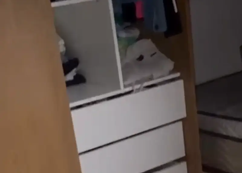 Na Paraíba: casa da influenciadora é arrombada e prejuízo chega a R$ 50 mil