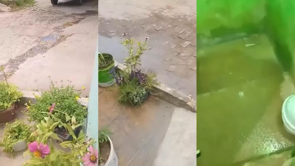 Moradora cobra conserto de galeria que está dando retorno para sua residência, no bairro Dona Milindra, em Patos