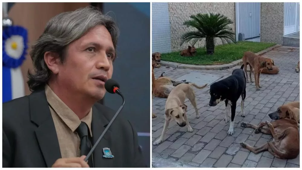 Foto: Reprodução/Redes Sociais