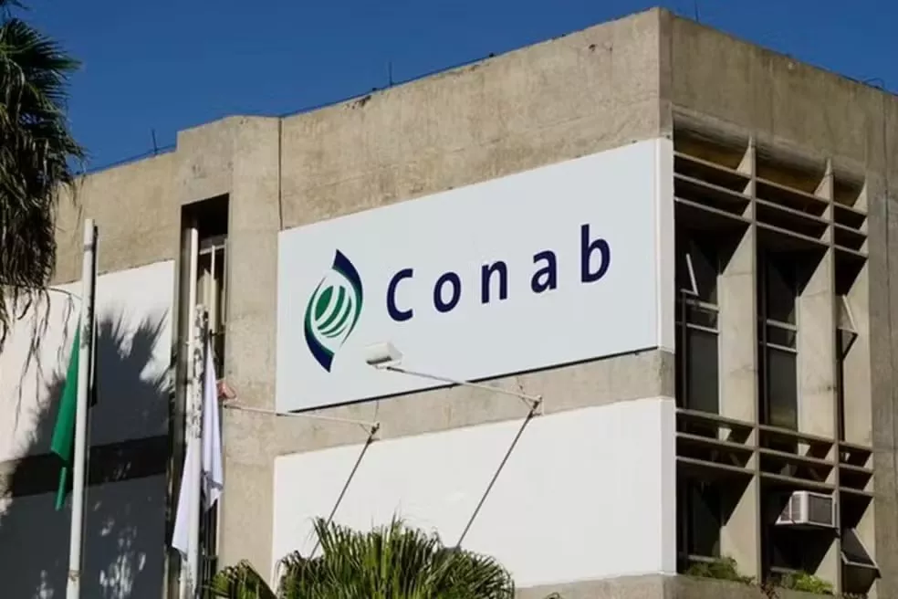 Conab abre concurso público com 403 vagas e salários de até R$ 8,1 mil; veja as oportunidades na PB