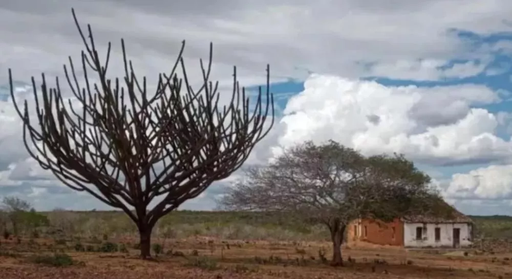 Março terminando, previsões falhando, mas a esperança do sertanejo continua