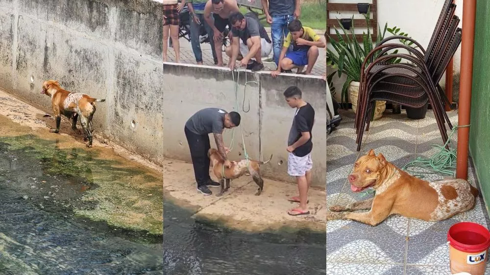 Populares resgatam cadela que caiu no Canal do Frango, em Patos, e tentam localiza dono(a)