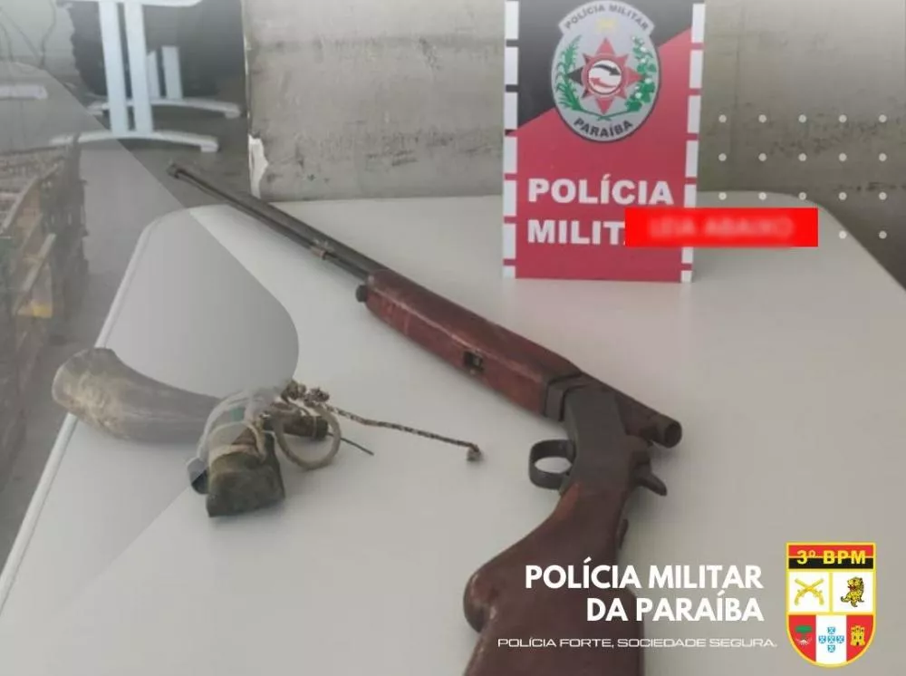 Polícia apreende arma de fogo e aves silvestres na zona rural de Teixeira-PB