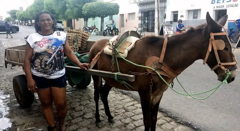 Campanha solidária busca ajudar Maria da Carroça a voltar ao trabalho após perder seu burro em Patos
