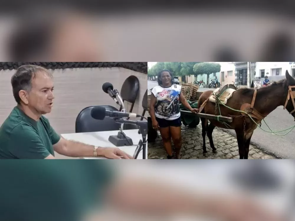 Empresário Brother Construtor diz que vai providenciar novo burro para Maria da Carroça