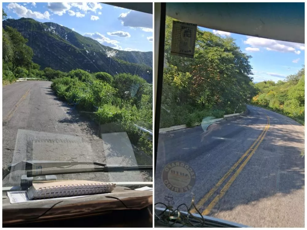 Internauta denuncia vegetação alta e risco de acidentes na Serra do Teixeira