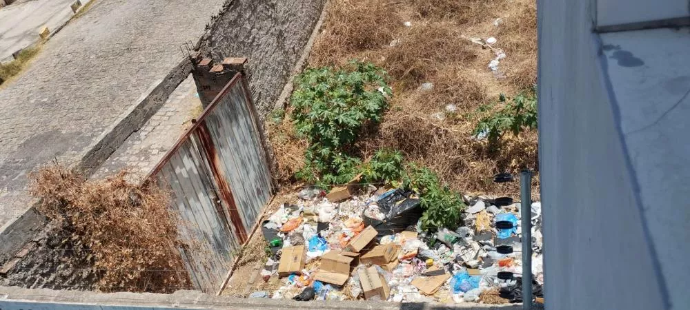Morador reclama de terreno com vegetação no bairro da Maternidade, em Patos