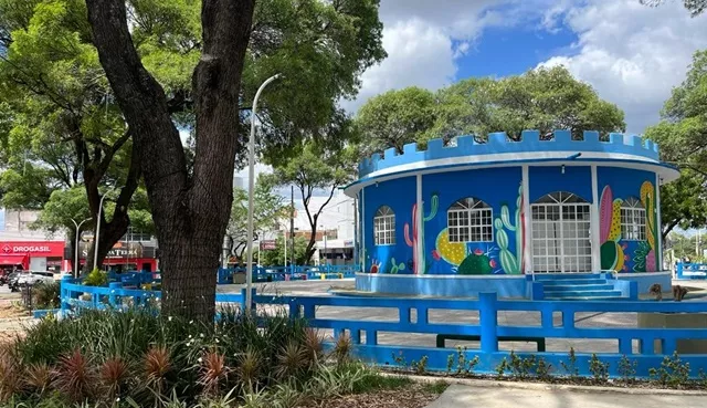 Cajazeiras lidera arborização urbana entre cidades polo do Sertão da PB, aponta IBGE; Patos aparece em terceiro