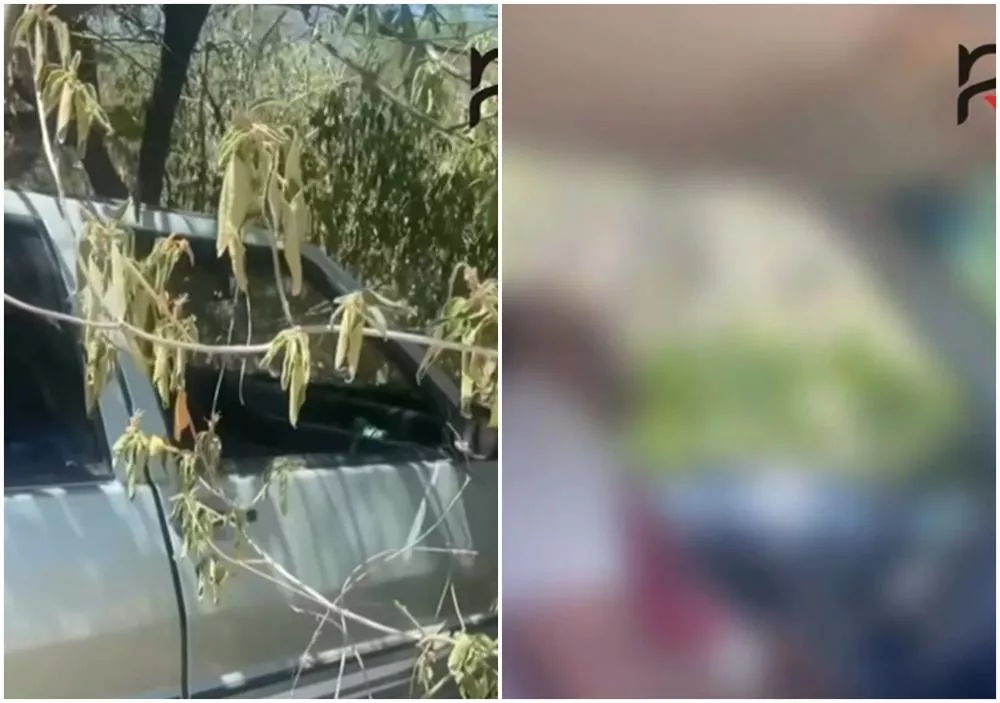 Homem é assassinado a tiros dentro de carro na zona rural de Olho d’Água-PB