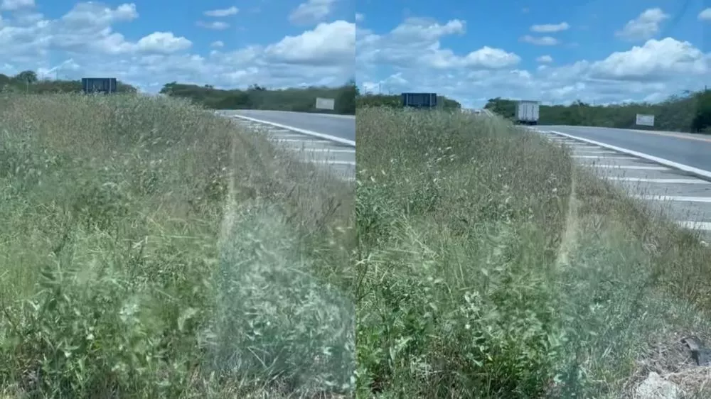 Motorista solicita roço de mato em rotatória que liga a BR-230 a Quixaba-PB e alerta para risco de acidentes