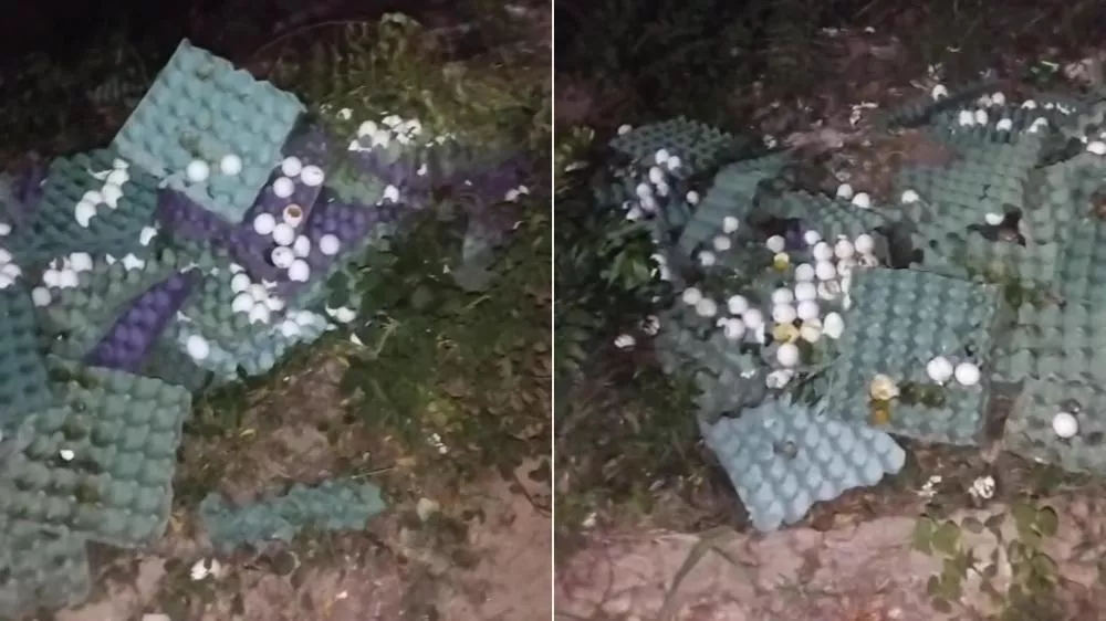 Moradora denuncia descarte irregular de ovos podres em via pública no bairro Jatobá, em Patos