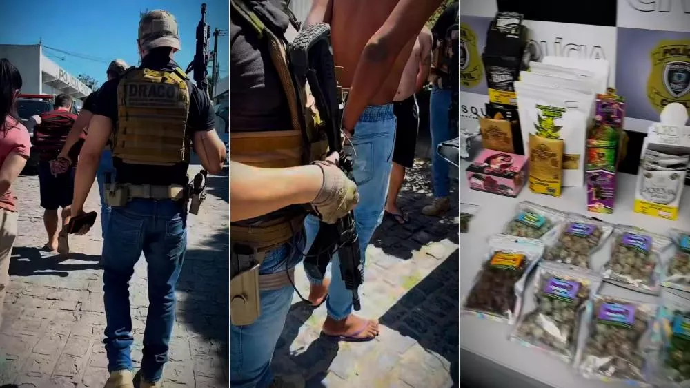 Cinco criminosos são presos e grande quantidade de drogas é apreendida durante operação da DRACO na Paraíba e Bahia