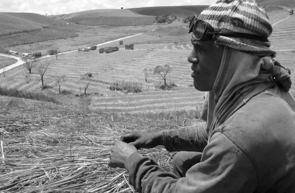 Aposentados rurais são maioria entre vítimas na fraude do INSS no governo Lula 