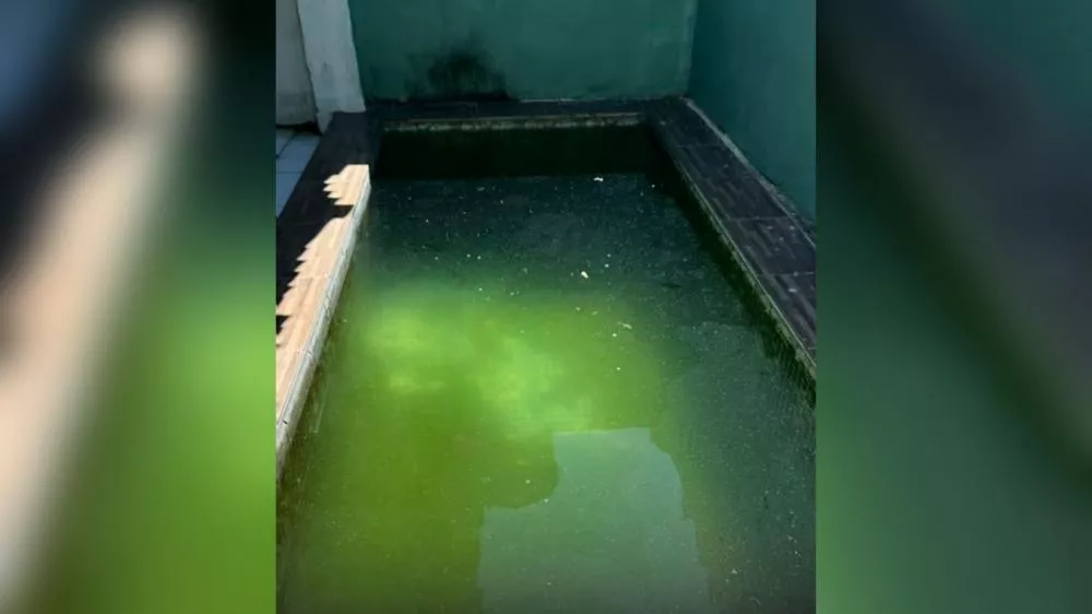 Delegado fala sobre afogamento de criança de 1 ano e 5 meses em residência no bairro Jatobá, em Patos; ouça