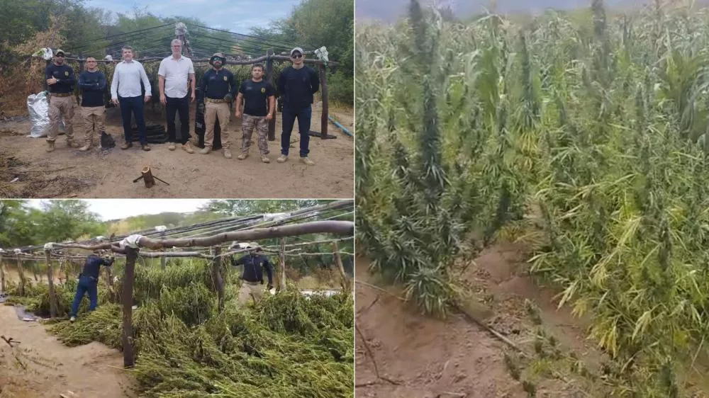 Foto: Reprodução/Polícia Civil