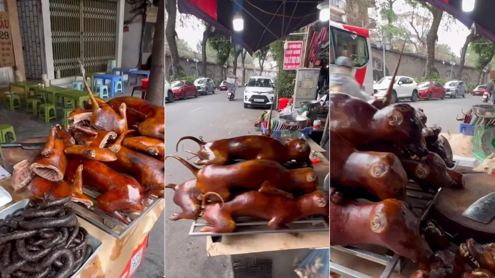 Curiosidades: Patoense em mochilão pelo mundo registra venda de carne de cachorro no Vietnã; confira