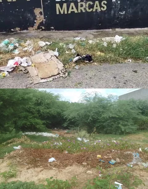 Internautas denunciam e cobram providências para retirada de mato e entulhos das ruas de Patos