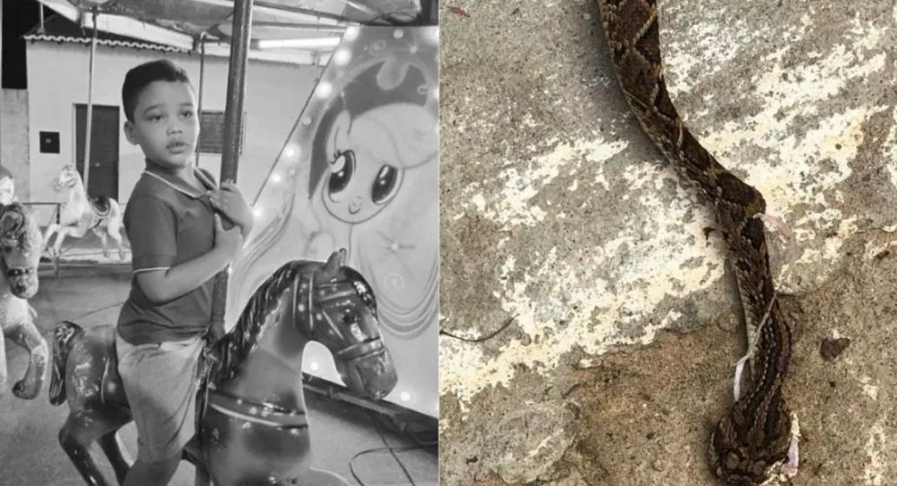 Menino de 4 anos morre no Hospital Infantil de Patos após picada de cascavel dentro de casa em Equador-RN