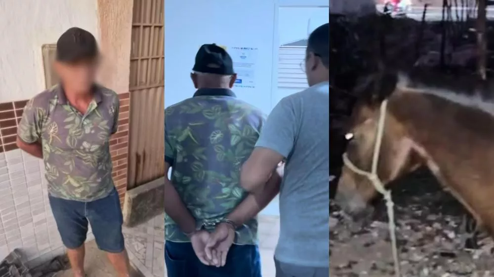Idoso de 64 anos é preso em flagrante por suspeita de praticar ato sexual com égua no bairro Santa Clara, em Patos