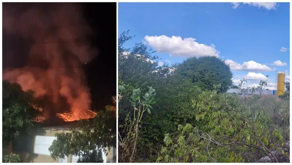 Moradores denunciam abandono de terrenos com mato alto e queimadas em São Mamede, nas proximidades de UBS e instituições públicas