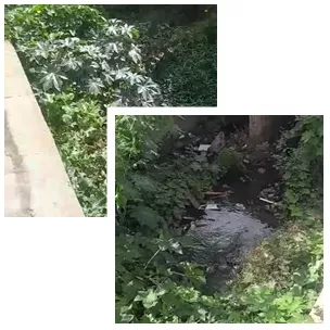 Moradores cobram limpeza do canal do Morro, que apresenta sujeira, água poluída e proliferação de mosquitos