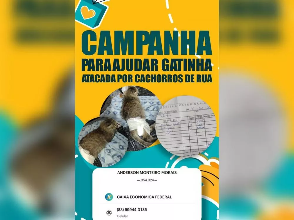 Foto: Reprodução/Redes Sociais
