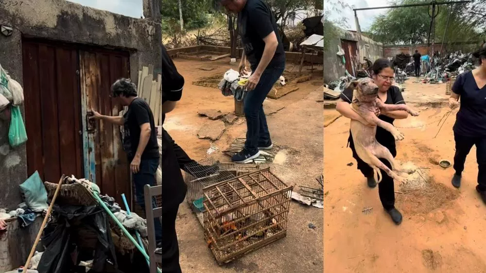 Operação conjunta em Patos apura maus-tratos a cães e cativeiro ilegal de aves silvestres