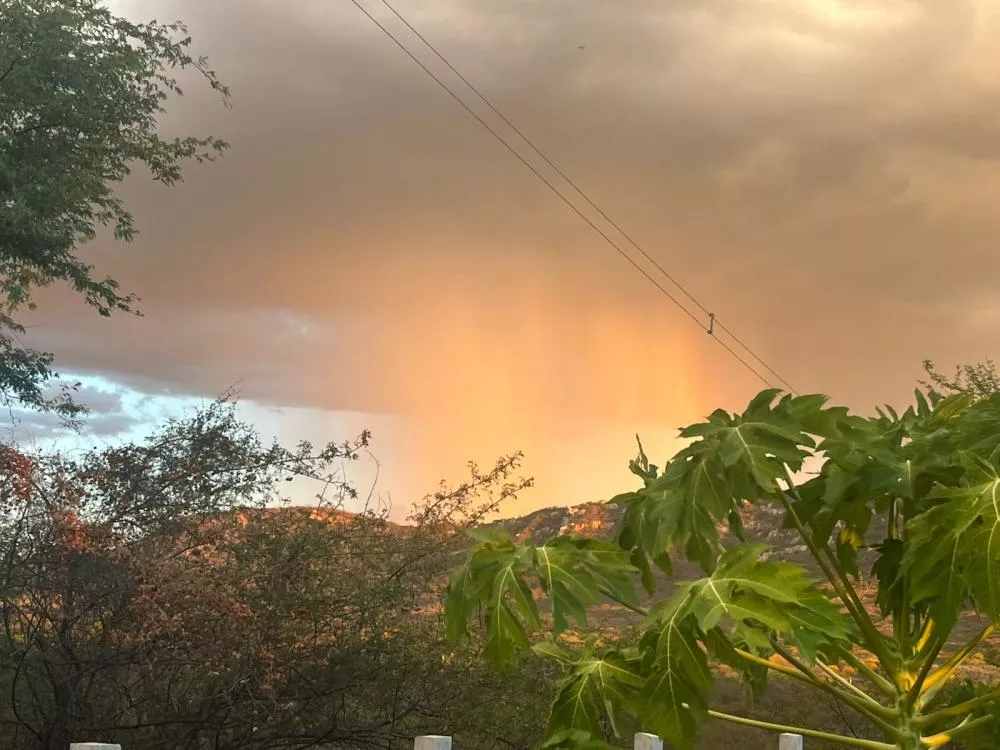 EMPAER divulga a “Corrida das Chuvas” de 2025 e a pluviometria dos últimos seis anos na região de Patos