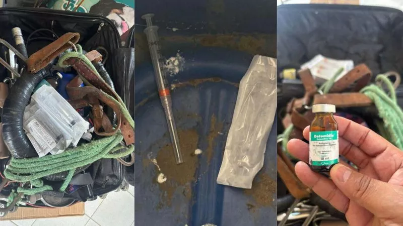 Estudante é detido suspeito de se passar por veterinário e realizar cirurgias ilegais em São Bento; duas cadelas morreram após procedimentos