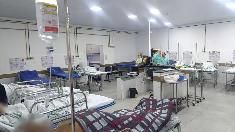 Hospital Regional de Patos registra 12 atendimentos por mordidas de animais no fim de semana