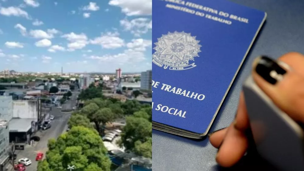 Patos gera mais de 600 empregos em dois anos no setor de serviços