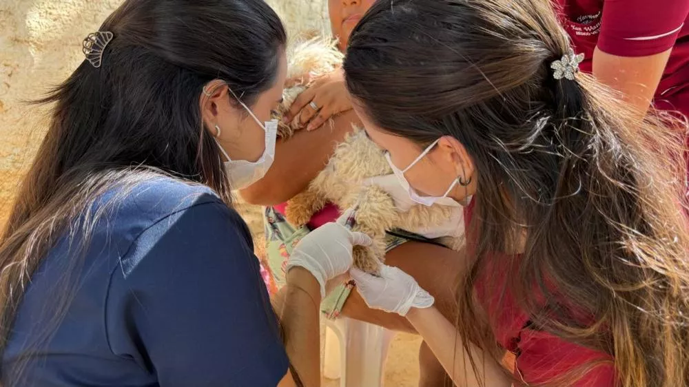 Prefeitura de Patos realiza testagem de cães para leishmaniose e reforça prevenção em saúde pública