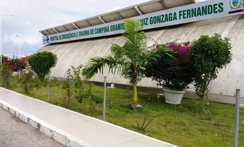 Idoso de 85 anos morre após ataque de abelhas em Queimadas