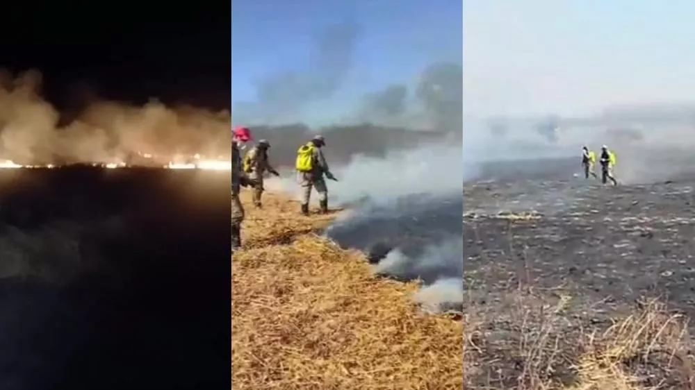 Bombeiros combatem incêndio florestal por mais de 12 horas na Comunidade Campo Comprido, em Patos