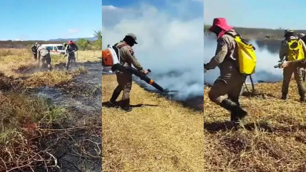 Comandante do 4º BBM fala sobre trabalho de combate a incêndio de grandes proporções no Campo Comprido e afirma que fogo foi causado de forma criminosa