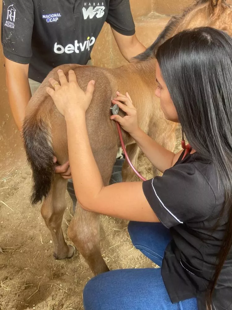Estudante de Veterinária da UNIFIP conquista vaga de estágio no Haras WS e compartilha experiência marcante