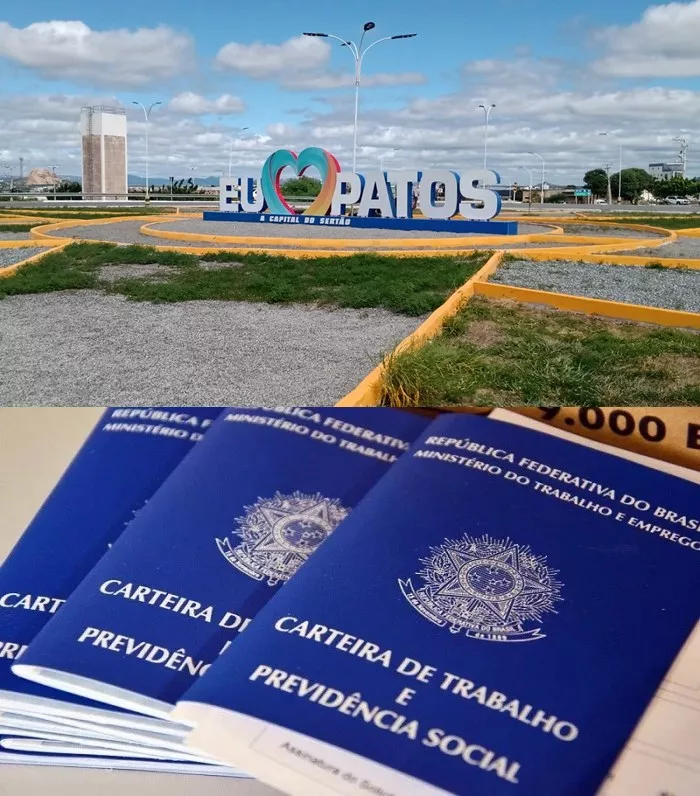 Patos registra mais de 14.600 empregos com carteira assinada, representando 2,7% dos postos formais do estado; setor de serviços concentra mais de 41% das vagas