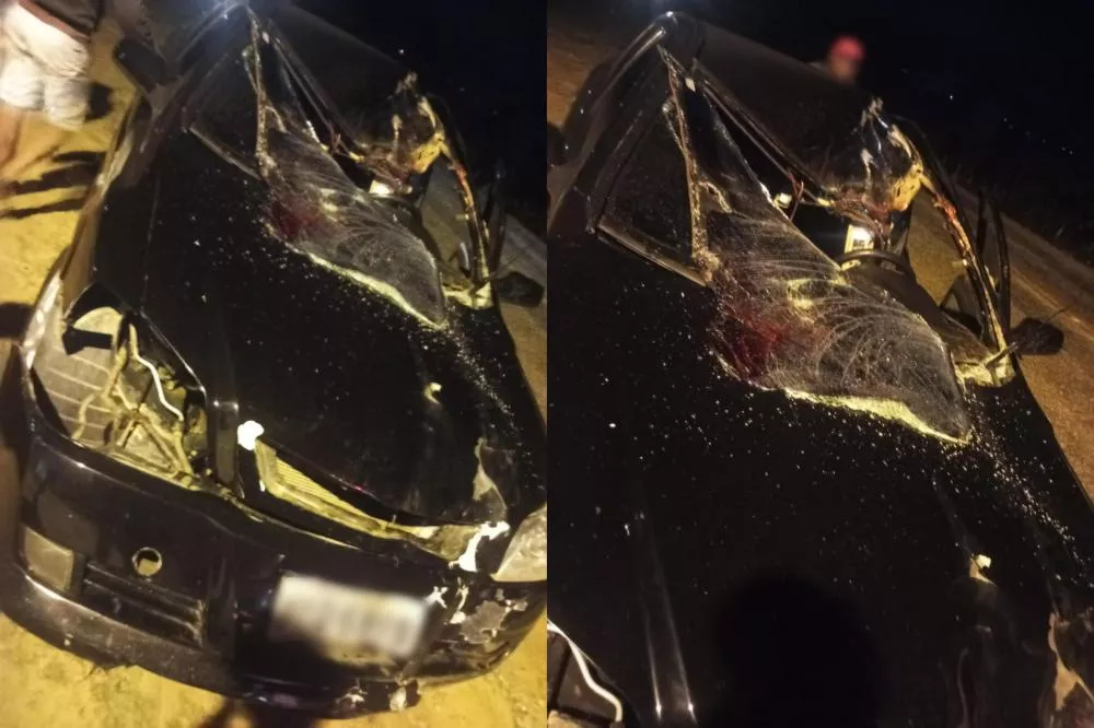 Carro colide com cavalo na PB-306, em Matureia, na noite deste domingo (31)