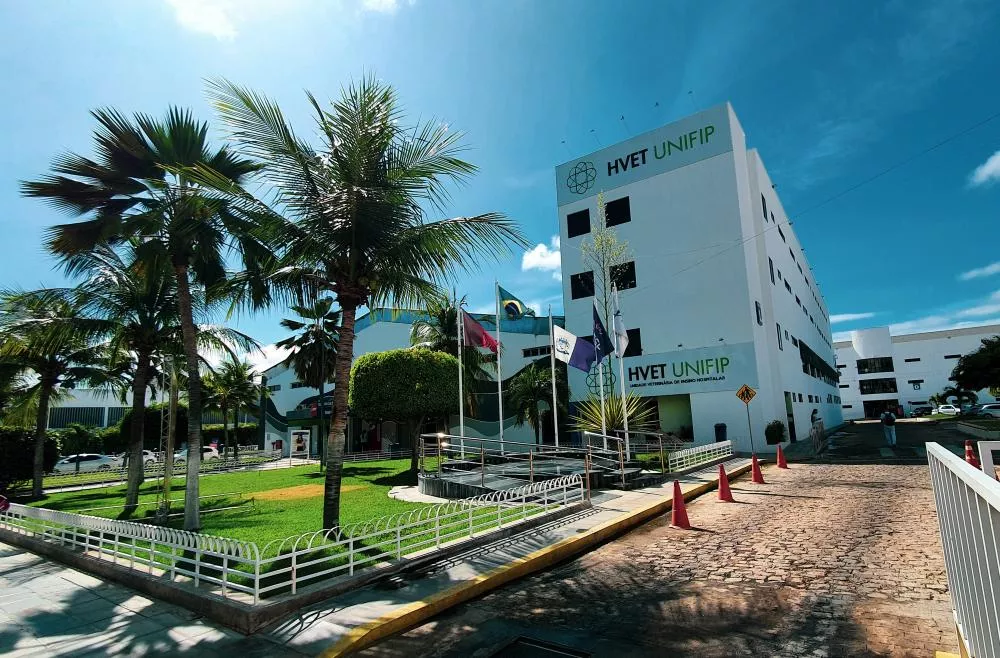 Unifip abre seleção para docente de Medicina com inscrições até 14 de setembro