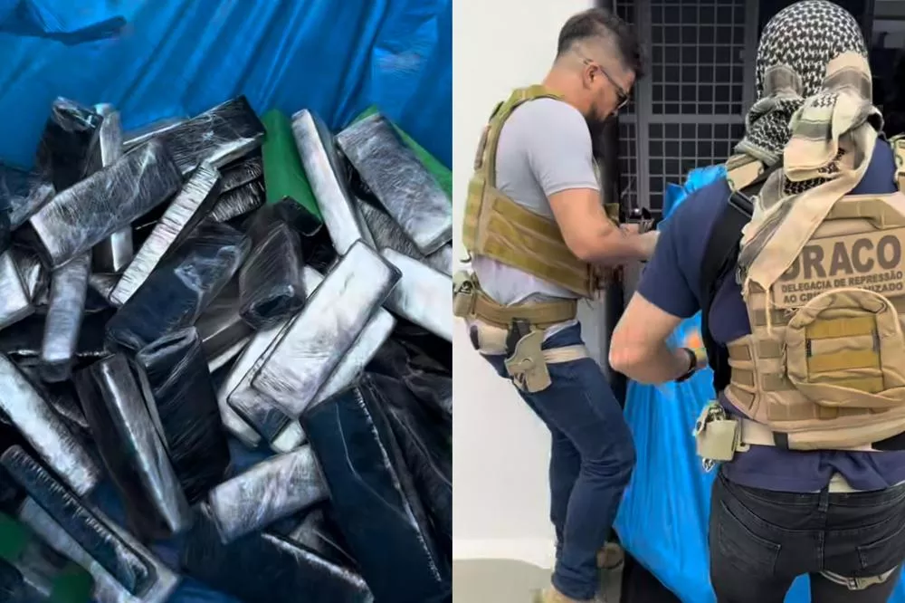 Foto: Reprodução/DRACO