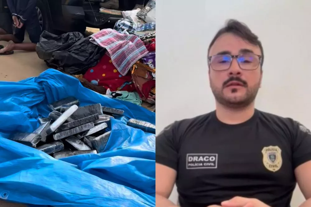 Delegado da DRACO fala sobre operação que apreendeu mais de 100 quilos de maconha “skunk” na zona rural de Teixeira