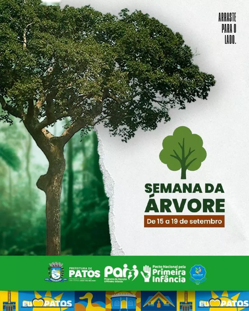 Prefeitura de Patos promove a Semana da Árvore com foco na arborização urbana e combate à desertificação