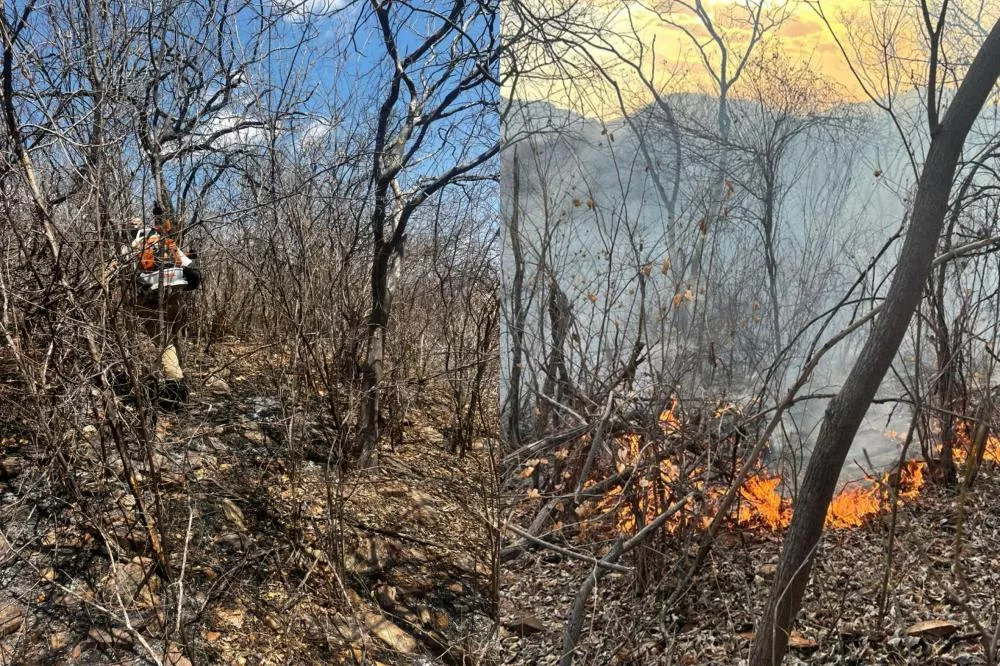 Bombeiros recebem apoio do ICMBio em combate a incêndio na Serra do Cruzeiro, em São José do Bonfim