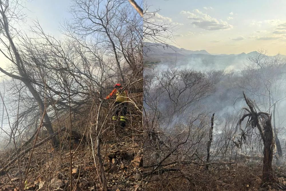 Fotos: Divulgação/4º BBM