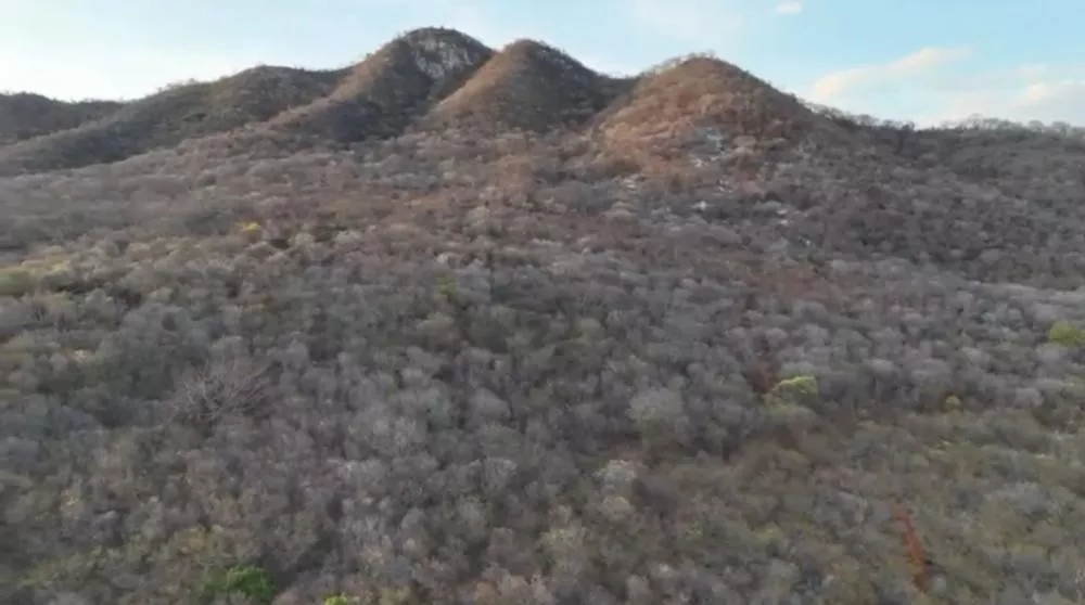 Incêndio na Serra do Cruzeiro permanece controlado e sem surgimento de novos focos nas últimas 24h, diz comandante do 4º BBM