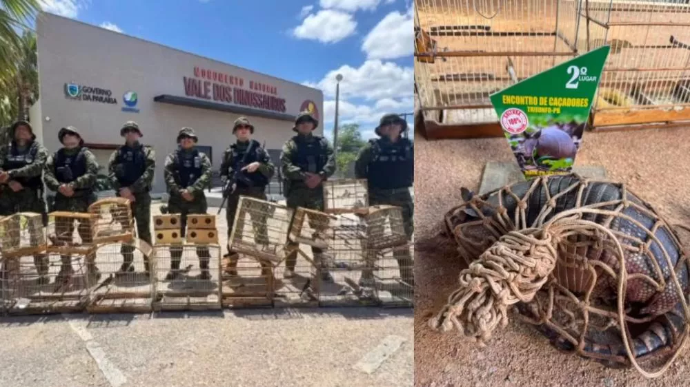 Polícia Ambiental resgata animais silvestres e apreende armas durante fiscalização no Sertão da Paraíba
