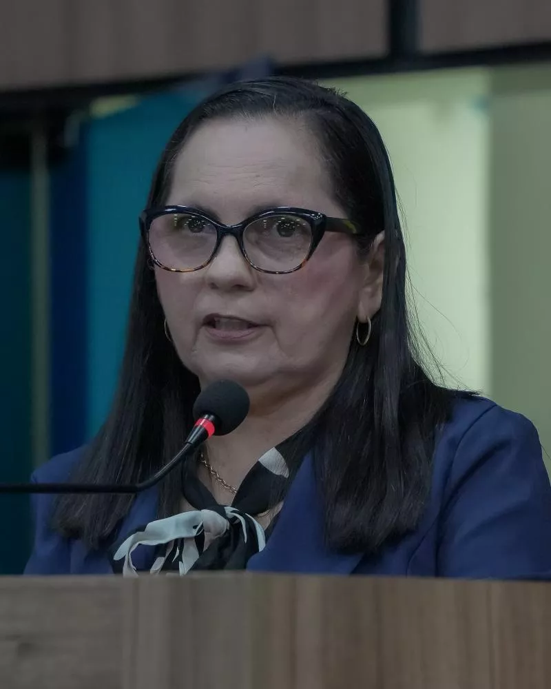 Vereadora Fátima Bocão apresenta voto de aplauso ao escritor patoense Junior Misaki pelo lançamento de mais uma obra literária