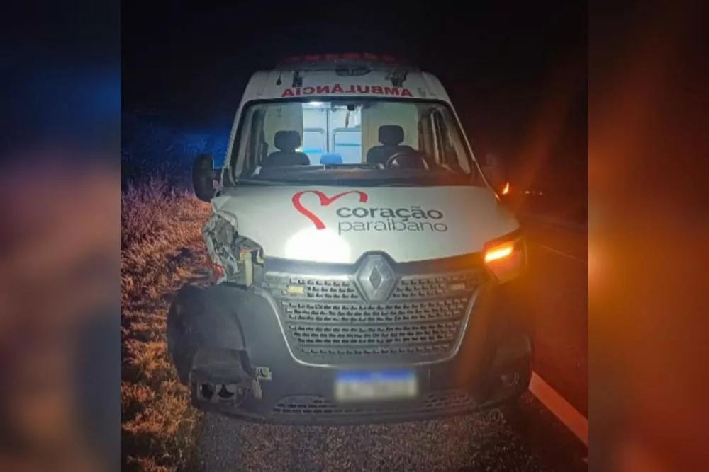 Ambulância do programa Coração Paraibano colide com animal na BR-230, em Santa Luzia; ninguém ficou ferido